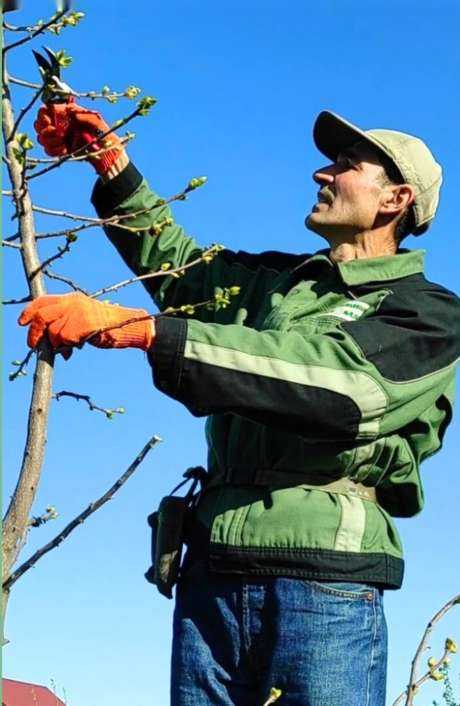 Hlavní VŠ agronom při odborné péči o dřeviny a zahrady